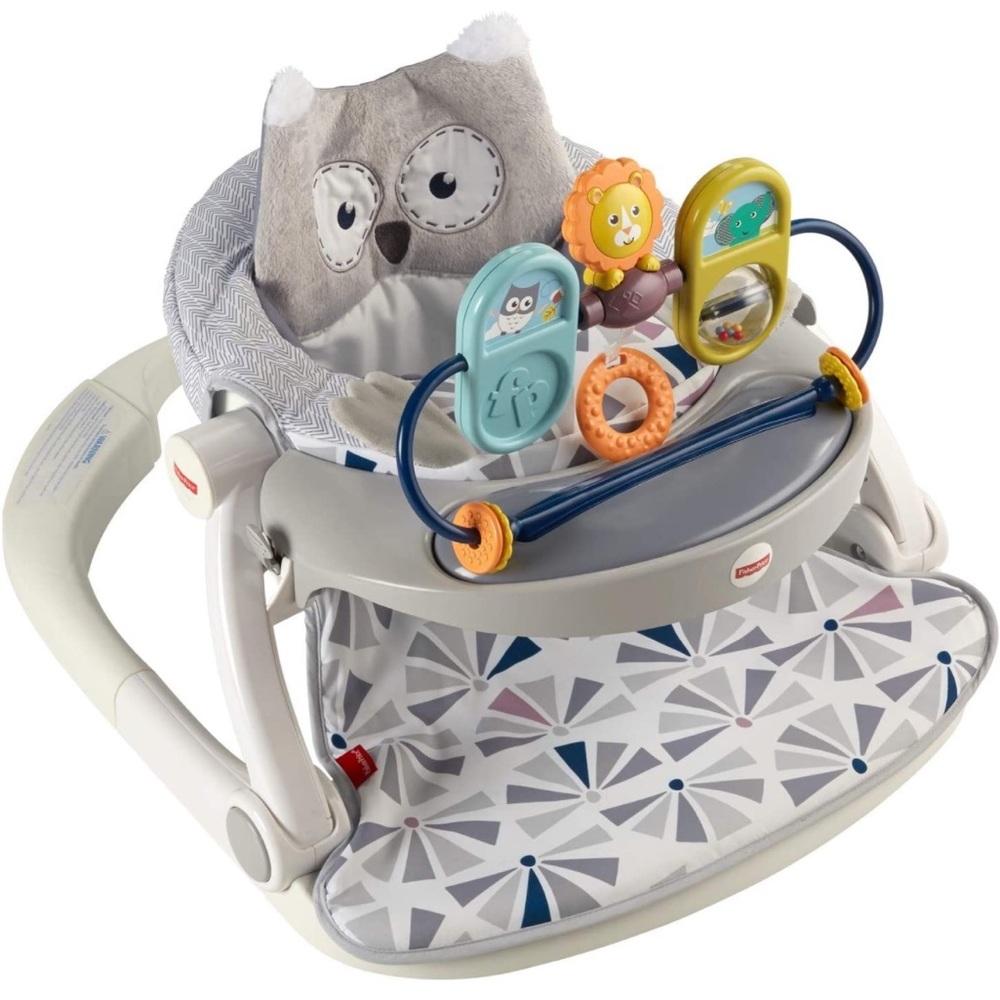 Fisher Price Premium Sit Me Up Floor Seat